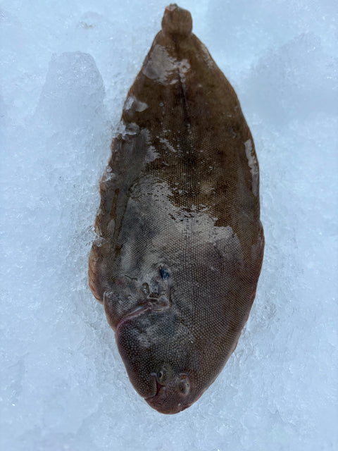 Sliptong