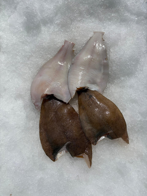 Schar panklaar