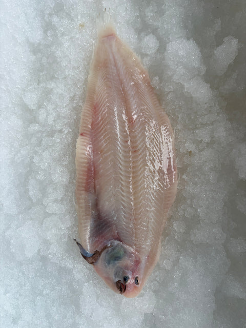 Sliptong panklaar